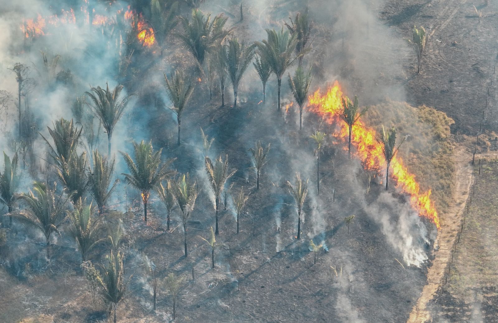 Fenômeno natural El Niño aumenta risco de queimadas durante a estiagem em Porto Velho