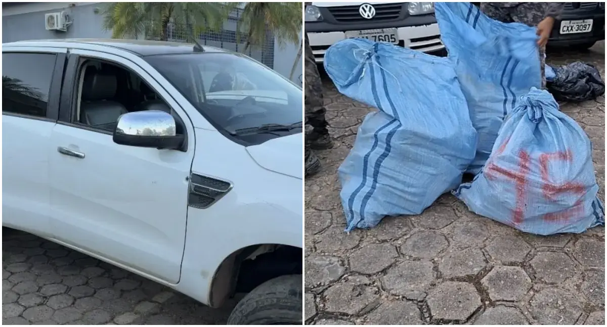 Operação apreende mais de 250 kg de drogas e prende quatro suspeitos em RO