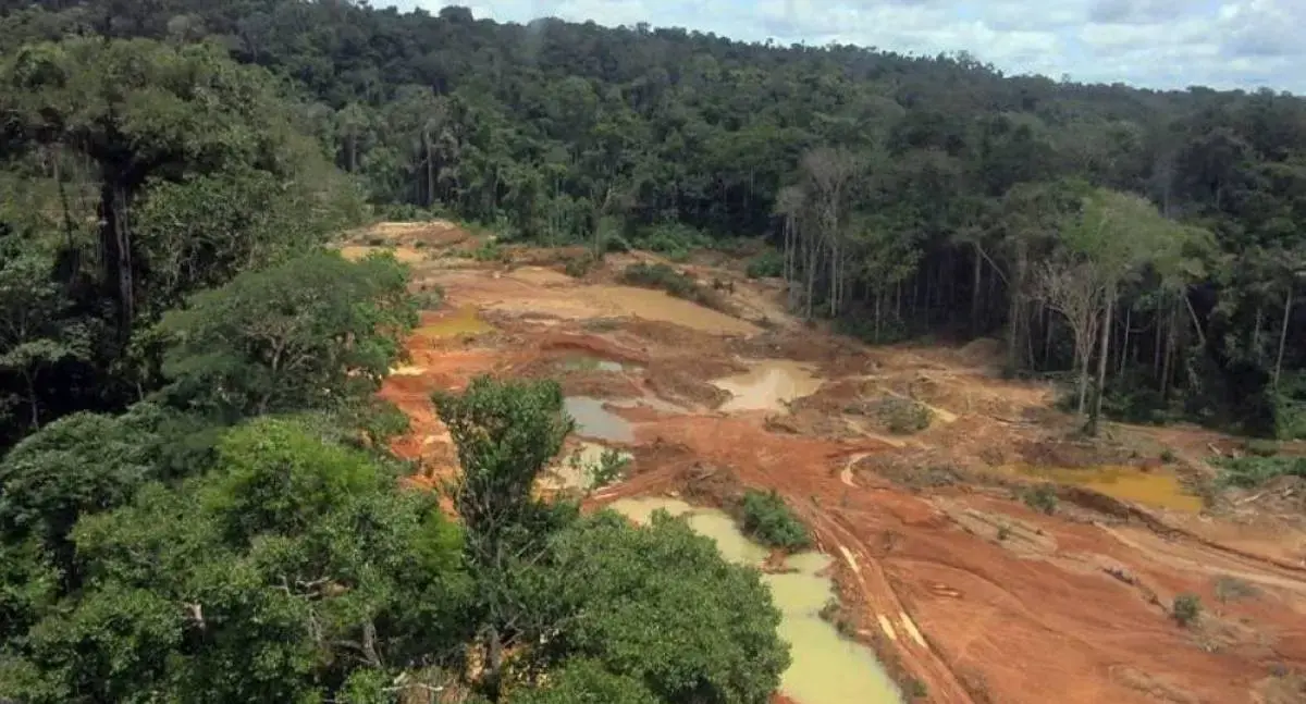 STF ordena plano contra garimpo em terra de Rondônia