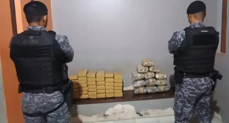  Apreensão de mais de 52 quilos de drogas durante operação policial em RO 