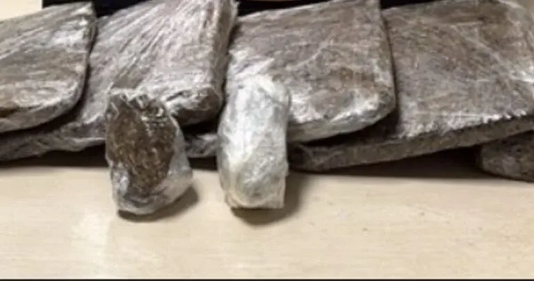 Mulher é presa pela PF ao tentar embarcar com mais de 3 kg de skunk presos ao corpo em aeroporto de Manaus