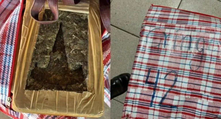 Polícia Militar apreende 101 quilos de maconha e recupera veículos em RO