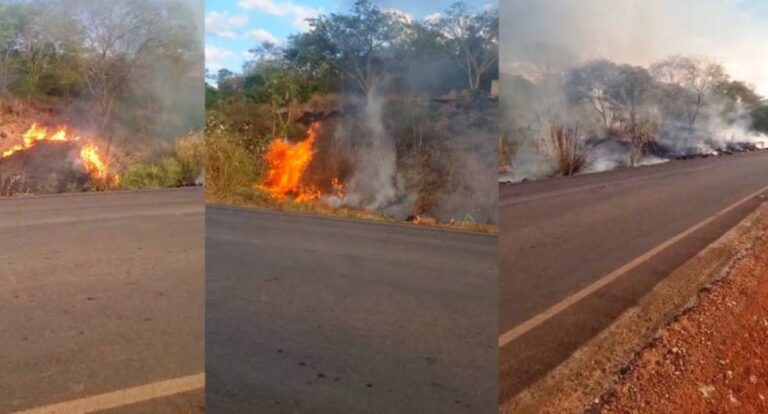 Incêndio avança sobre área rural e reserva do Inpa em Ouro Preto do Oeste