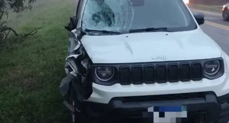  Irmãos de 7 e 14 anos morrem atropelados por utilitário na BR-470 