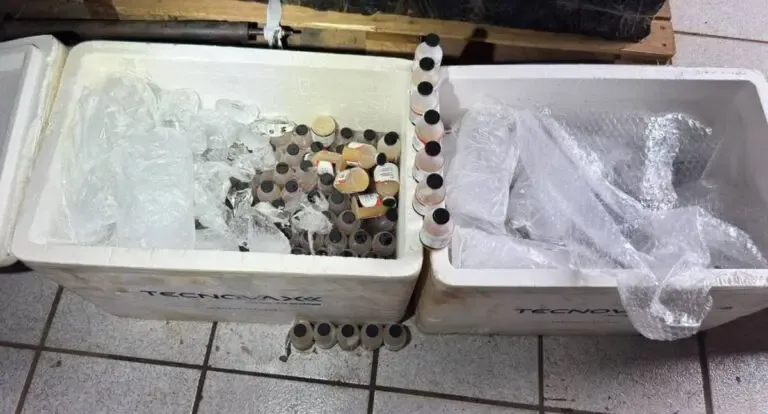 Polícia Militar apreende frascos de vacina veterinária contrabandeados em Rondônia