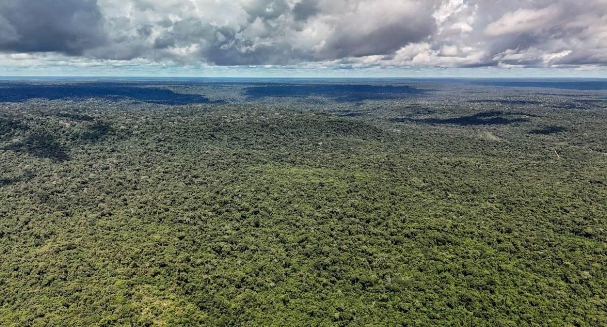 Governo brasileiro é autorizado a contratar crédito externo de até um bilhão de dólares com o BID para o Eco Invest Brasil