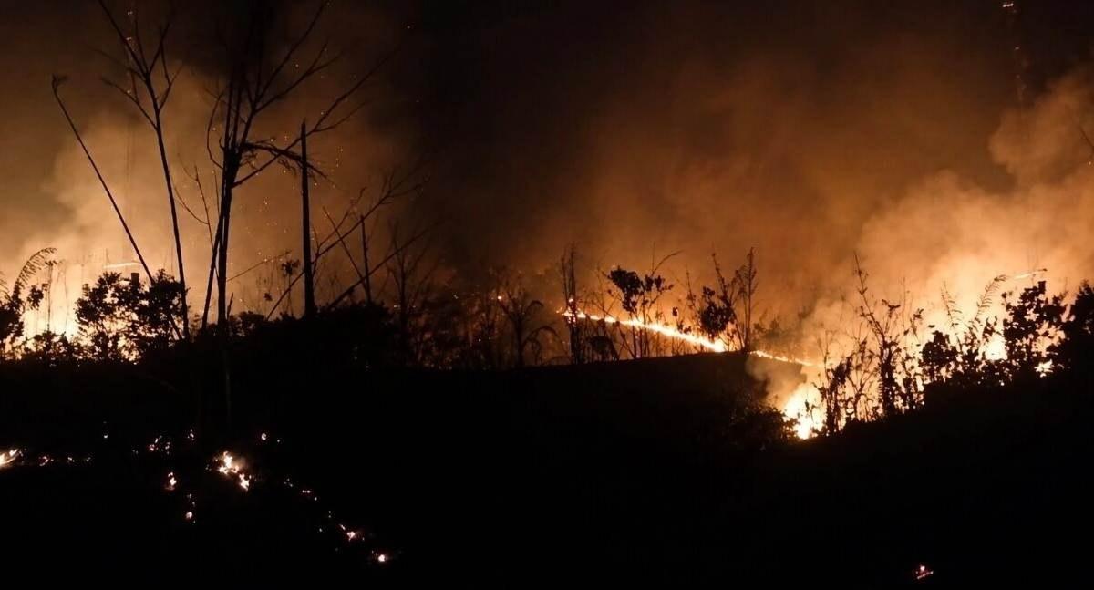 Incêndio destrói roças de comunidade indígena do povo Arara e mobiliza campanha de solidariedade em RO