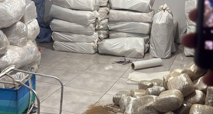 Operação integrada apreende grande quantidade de drogas em Monte Negro