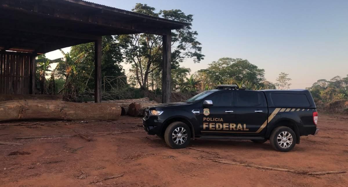 PF deflagra operação contra extração ilegal de madeira em terras indígenas de Rondônia