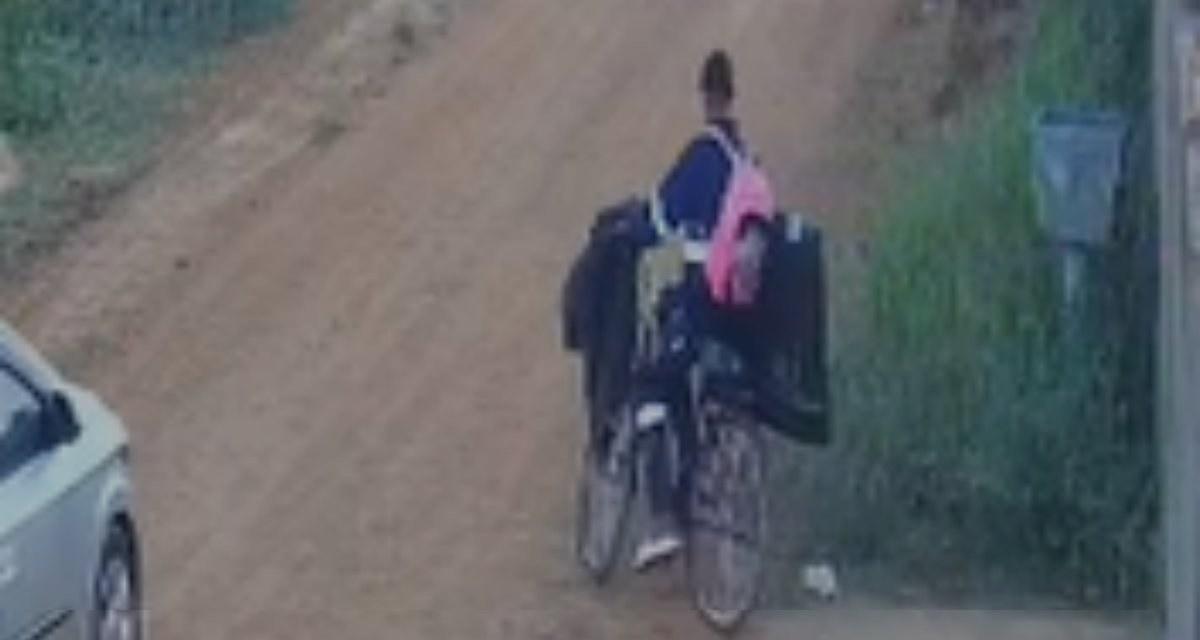 Câmeras flagram suspeito furtando televisão de residência em Porto Velho