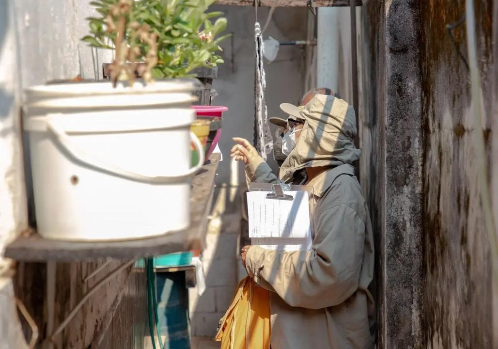 Casos de dengue caem em 2026, mas combate ao mosquito continua essencial