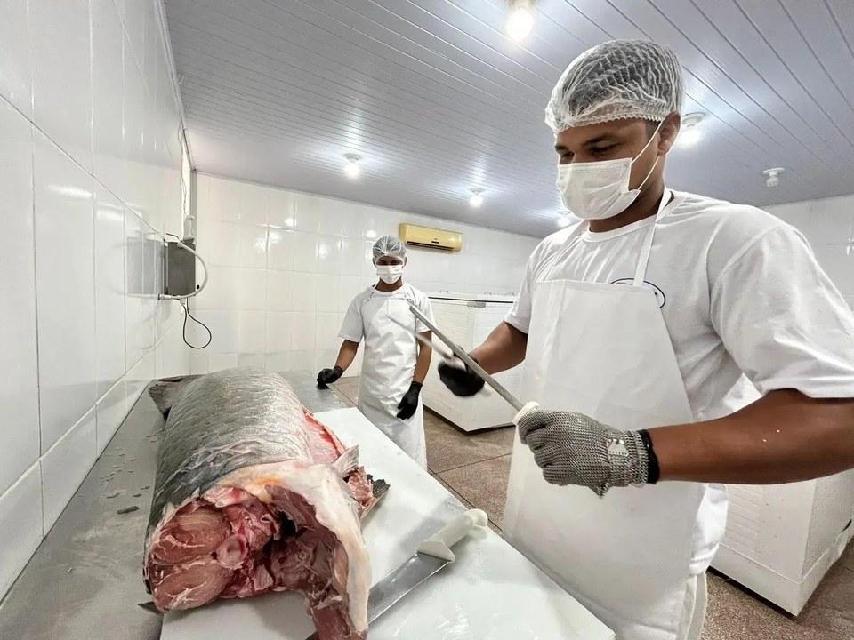 Do SIM para o Brasil: regularização abre mercado e fortalece agroindústrias de PVH