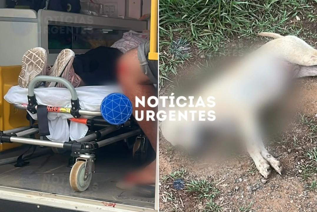 Motociclista fica ferido após atropelar cachorro na BR-319