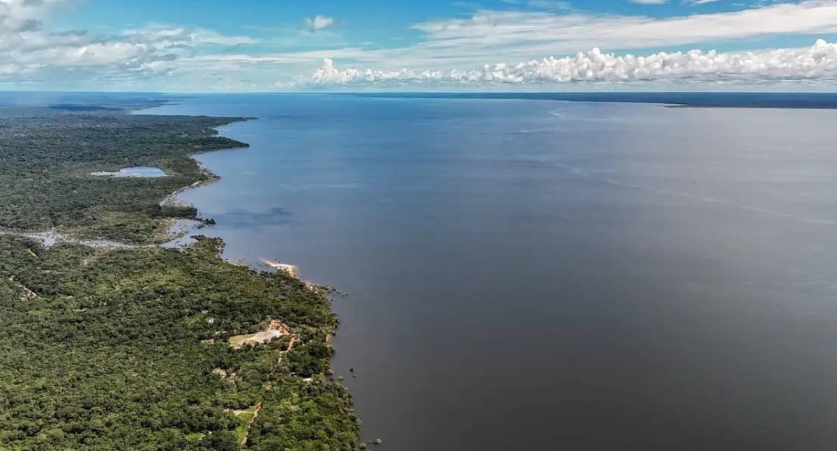 Planos de governo de Lula e Flávio Bolsonaro apresentam abordagens opostas para o meio ambiente e a crise climática