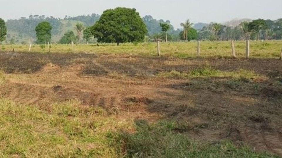 Sitiante morre ao tentar conter incêndio em pasto em Rondônia