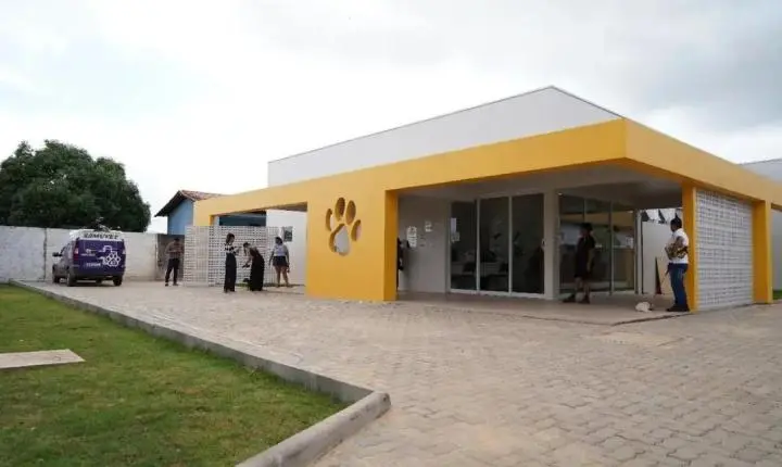 Clínica de Bem-Estar Animal coloca Porto Velho como referência na causa animal