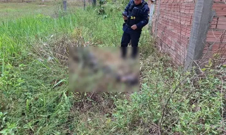 Corpo carbonizado e com mãos amarradas é achado em matagal na zona Leste