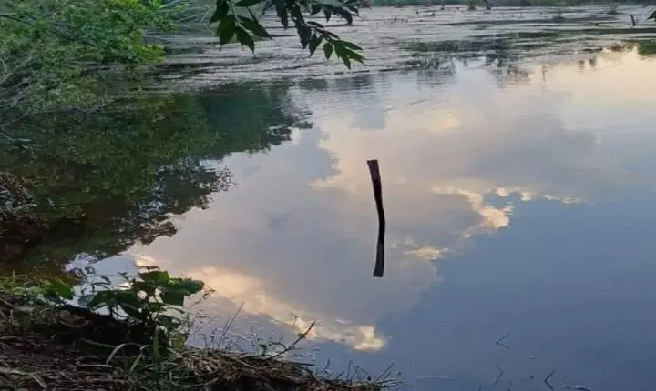 Criança de 2 anos morre após cair em represa em propriedade rural de RO