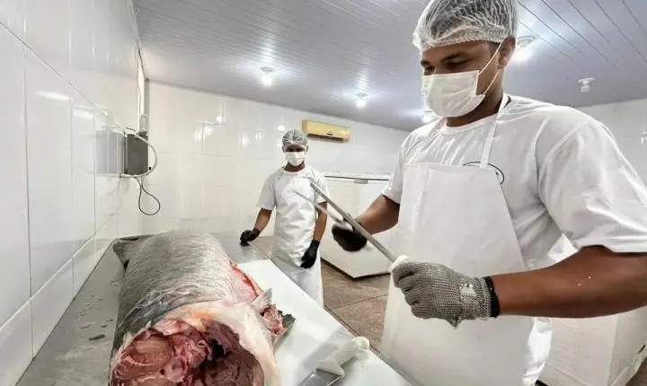 Do SIM para o Brasil: regularização abre mercado e fortalece agroindústrias de PVH