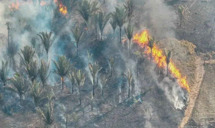 Fenômeno natural El Niño aumenta risco de queimadas durante a estiagem em Porto Velho