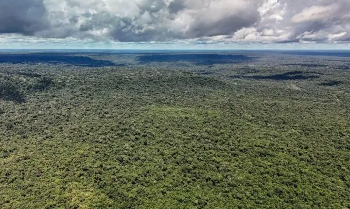 Governo brasileiro é autorizado a contratar crédito externo de até um bilhão de dólares com o BID para o Eco Invest Brasil