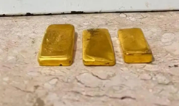 Homem é preso pela Polícia Federal com 1,2 kg de ouro em RO