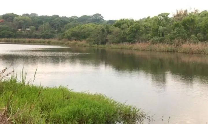 Idoso com Alzheimer é encontrado morto em represa