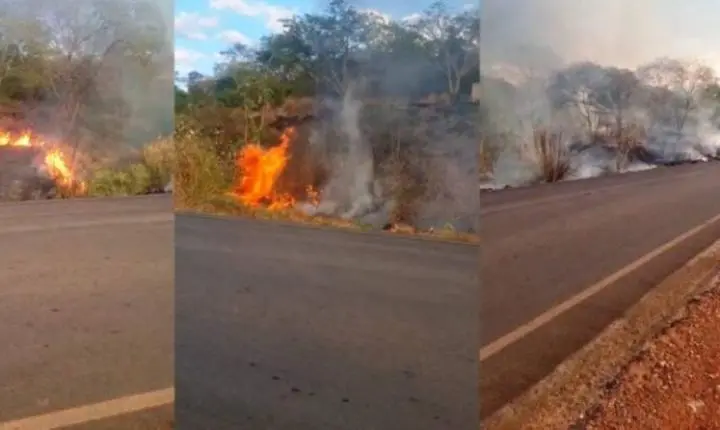 Incêndio avança sobre área rural e reserva do Inpa em Ouro Preto do Oeste