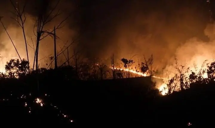 Incêndio destrói roças de comunidade indígena do povo Arara e mobiliza campanha de solidariedade em RO