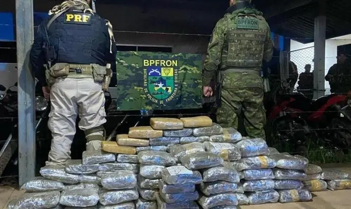 Mais de 100 kg de skunk são apreendidos em Nova Mutum Paraná durante operação policial; prejuízo ao tráfico ultrapassa R$ 1,3 milhão
