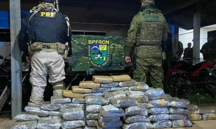 Mais de 100 kg de skunk são apreendidos em operação