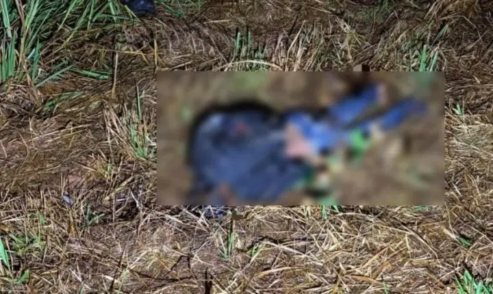 Motociclista morre depois de colisão traseira entre Honda Biz e caminhonete na BR-429
