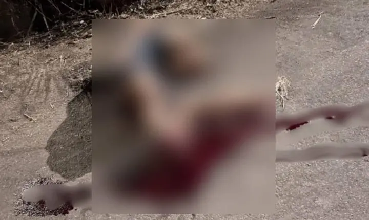 Mulher é encontrada gravemente ferida depois de acidente em RO