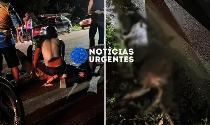 Mulher fica gravemente ferida após atropelar capivara
