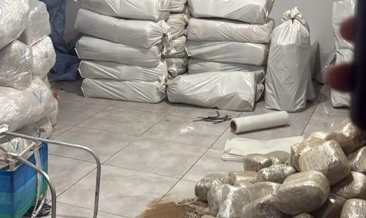 Operação integrada apreende grande quantidade de drogas em Monte Negro