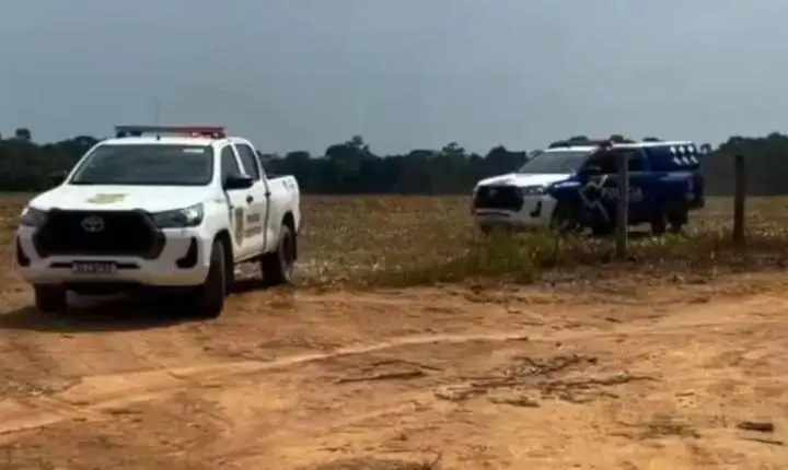 Ossada humana é encontrada por coletor de castanhas em área de mata em RO