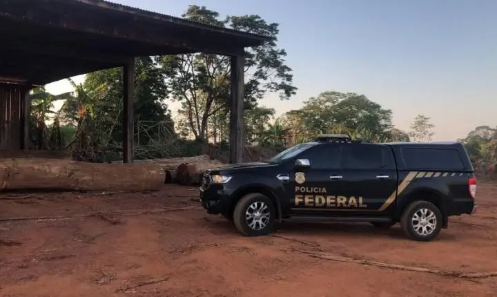 PF deflagra operação contra extração ilegal de madeira em terras indígenas de Rondônia