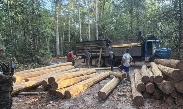 PM apreende dois caminhões com madeira ilegal em Rondônia
