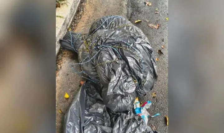 Polícia Civil prende 3 suspeitos por corpos encontrados dentro de sacos
