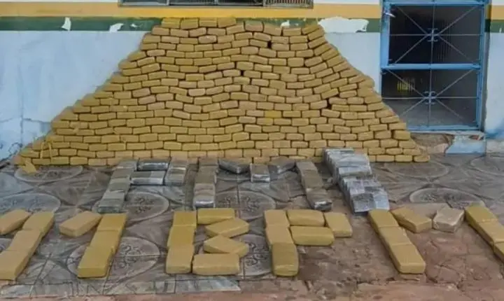 Polícia Militar apreende 340 quilos de skunk e prende dois suspeitos na BR-429