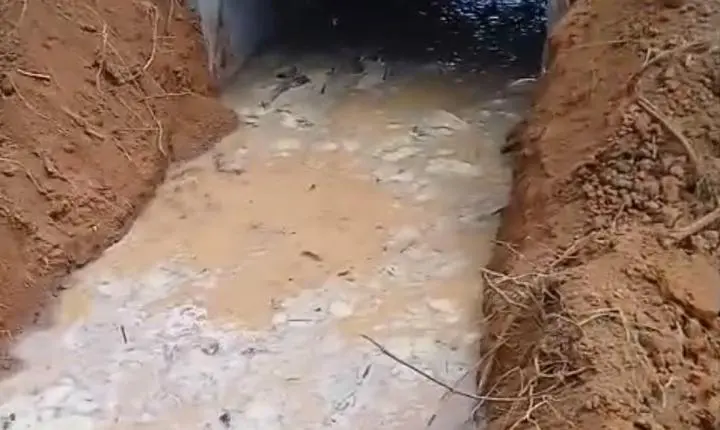 Prefeitura de Porto Velho recupera ponte no Ramal Beira Rio, no distrito de Extrema
